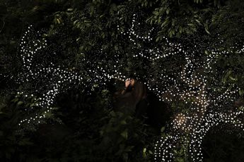 Contemporary art exhibition Soumya Sankar Bose Dreaming The Void at Delfina Foundation London United Kingdom