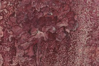 Peng Kanglong contemporary artist