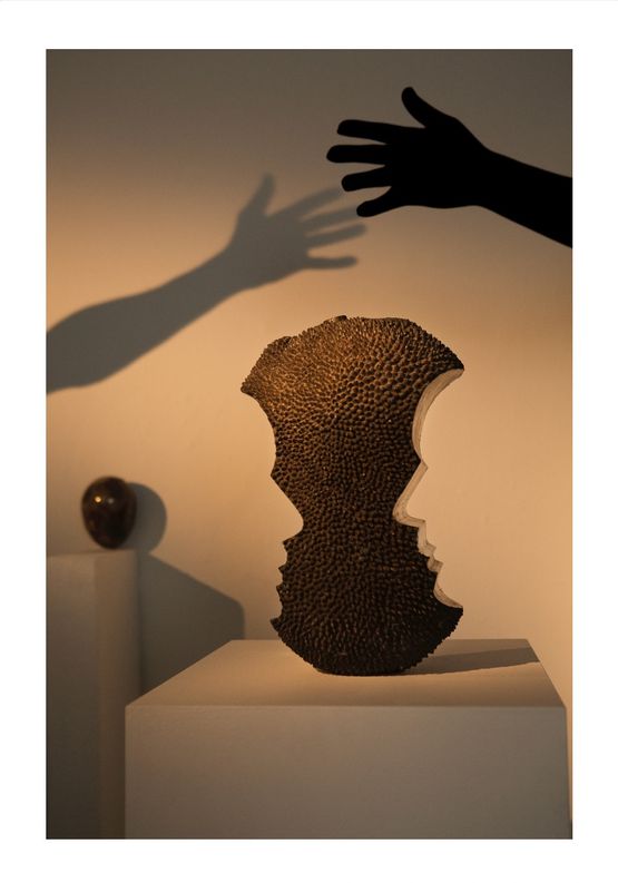 Contour by Luiz Roque  Erika Verzutti contemporary artwork Print