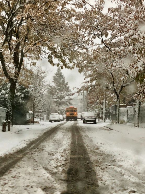 School Bus East New York by Roe Ethridge contemporary artwork Photography
