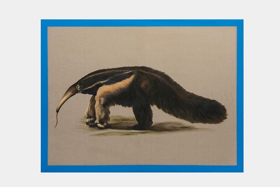 His Majestys Giant Anteater by Gabriela Bettini contemporary artwork Painting