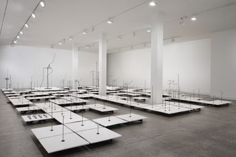 Contemporary art exhibition Dane Mitchell Unknown Affinities at Two Rooms Auckland New Zealand