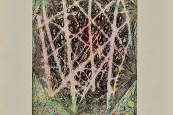 Shirley Witebsky contemporary artist