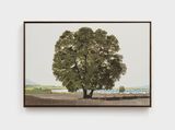 Salinas by Jake Longstreth contemporary artwork painting