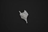 Gripping and Opening by Inbai Kim contemporary artwork sculpture