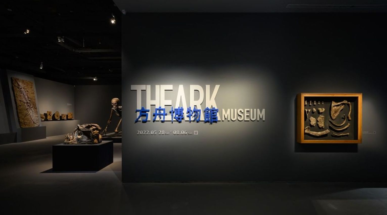 Tu Wei-Cheng