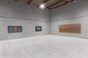 Carlos Cruz-Diez