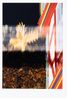 16_92-3 Spolie Phantasiewasserspeiher Provenienz Jourdan Muller Steinhauser Architekten Standort Goldene Waage Markt 5 Datierung 2018 by Daniel Poller contemporary artwork Print