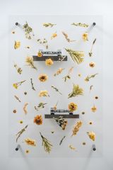 Post Classical V by Anicka Yi contemporary artwork design