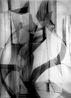 Traveller by Yamini Nayar contemporary artwork Photography