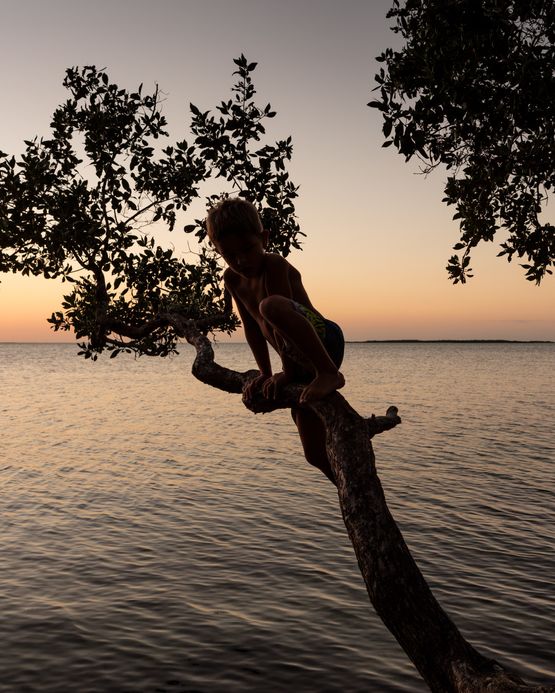 Key Largo by Anastasia Samoylova contemporary artwork Photography