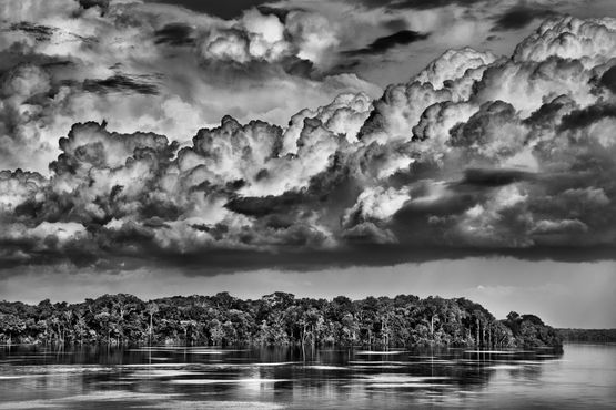 The parana connecting the Rio Negro with the Cujuni River state of Amazonas Brazil by Sebastiao Salgado contemporary artwork Photography