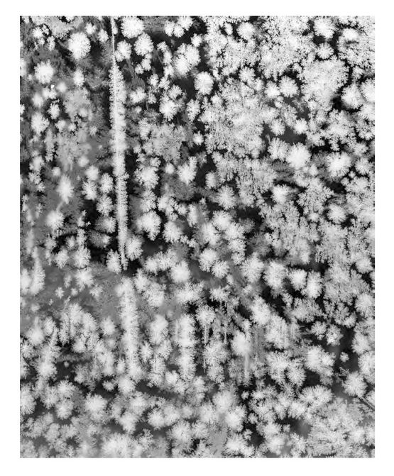 Crystals VIII by Tomoko Yoneda contemporary artwork Photography