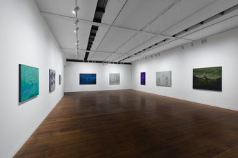 Contemporary art exhibition Daniel Boyd Tacit Testudo at Roslyn Oxley9 Gallery Sydney Australia