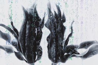 Chu Chu contemporary artist