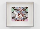 Maquette chestnut tiger butterfly 3 by Vivien Zhang contemporary artwork works on paper