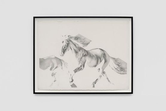 untitled two horsesinverted by Banks Violette contemporary artwork Works on Paper