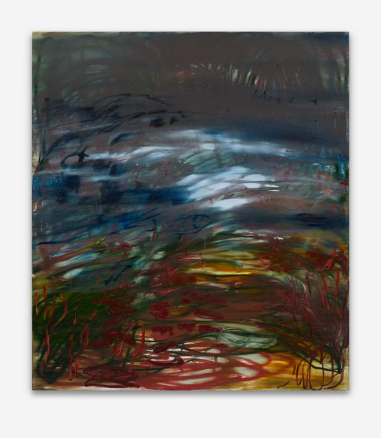 Wandernebel by Janaina Tschape contemporary artwork Painting