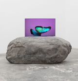 The Void Migrates to the Surface Blue Morpho by Andrea Galvani contemporary artwork design