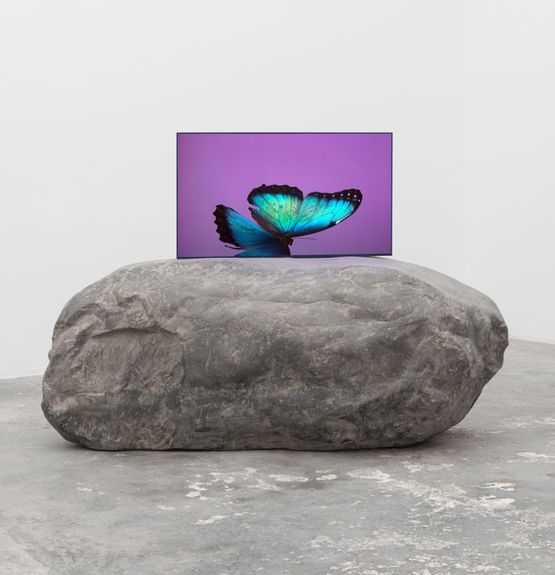 The Void Migrates to the Surface Blue Morpho by Andrea Galvani contemporary artwork Design