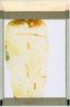 Sun Sun No. 33 by Jiang Pengyi contemporary artwork Photography