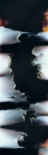 Bruissement 12 by Anne Noble contemporary artwork photography