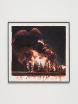 Wildfire First the Blood then the Fire by David Claerbout contemporary artwork painting