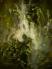 All the blue flowers follow the sun chicory succory blue sailors coffeeweed wild succory blue daisy blue dandelion blue sailors blueweed bunk coffeeweed cornflower hendibeh horseweed ragged sailors succory wild bachelors buttons and wil by Ann Shelton contemporary artwork Print