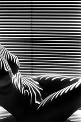 Nu zebre New York 2012 by Lucien Clergue contemporary artwork photography