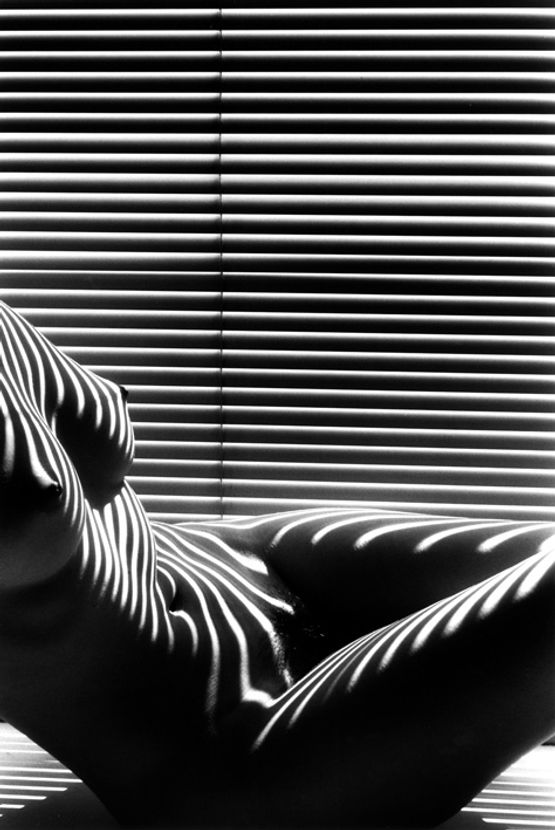 Nu zebre New York 2012 by Lucien Clergue contemporary artwork Photography