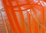 How many times can you watch by Boscher Theodor contemporary artwork print sculpture