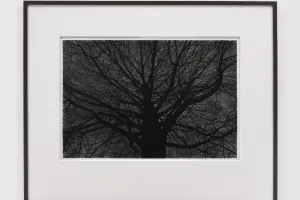 Robert Longo