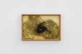 The Betta Cuddle Before by Trevor Yeung contemporary artwork print