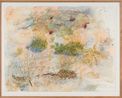Yellow-throated miner sucking nectar from upsidedown plants as Burrowing bettongs sleep the day away in their mazy warrens by John Wolseley contemporary artwork Works on Paper