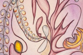 Contemporary art exhibition Anna Zemankova Anna Zemankova at Gladstone 130 East 64th Street New York United States