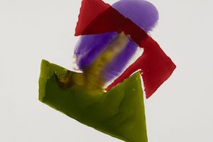 Lilly Fenichel