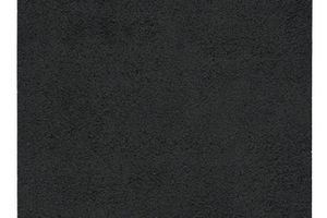 Richard Serra