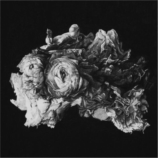 Komorebi Coral by Yanyun Chen contemporary artwork Works on Paper