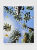 Quaking Aspen by Alexis Rockman contemporary artwork painting