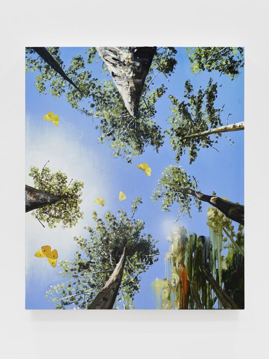 Quaking Aspen by Alexis Rockman contemporary artwork Painting