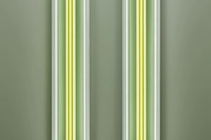 Robert Irwin