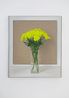 Chrysanthemums by Michael Wilkinson contemporary artwork Painting