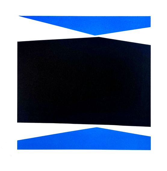 memory  Fisch by Martin Wohrl contemporary artwork Works on Paper