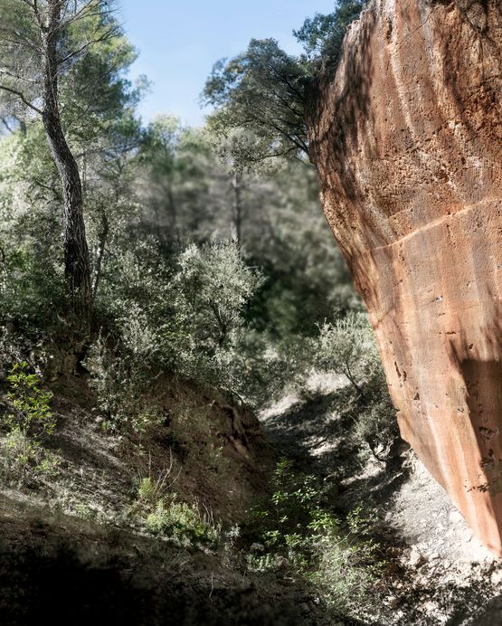 TableauBibemus Red Rock by Naruki Oshima contemporary artwork Photography