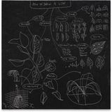 Flow Chart How to Draw a Leaf by Analia Saban contemporary artwork drawing painting
