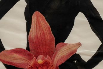 Idelle Weber contemporary artist