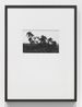 Tropen Palmen by Lothar Baumgarten contemporary artwork Photography