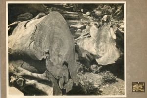 Teng Nankuang