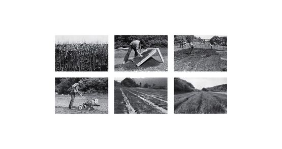 RiceTreeBurial  Preparations for the Rice Field with Irrigation System by Agnes Denes contemporary artwork Painting