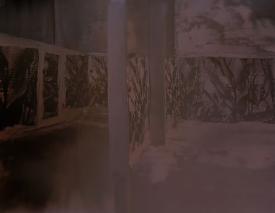 Resonance by Yamini Nayar contemporary artwork Photography